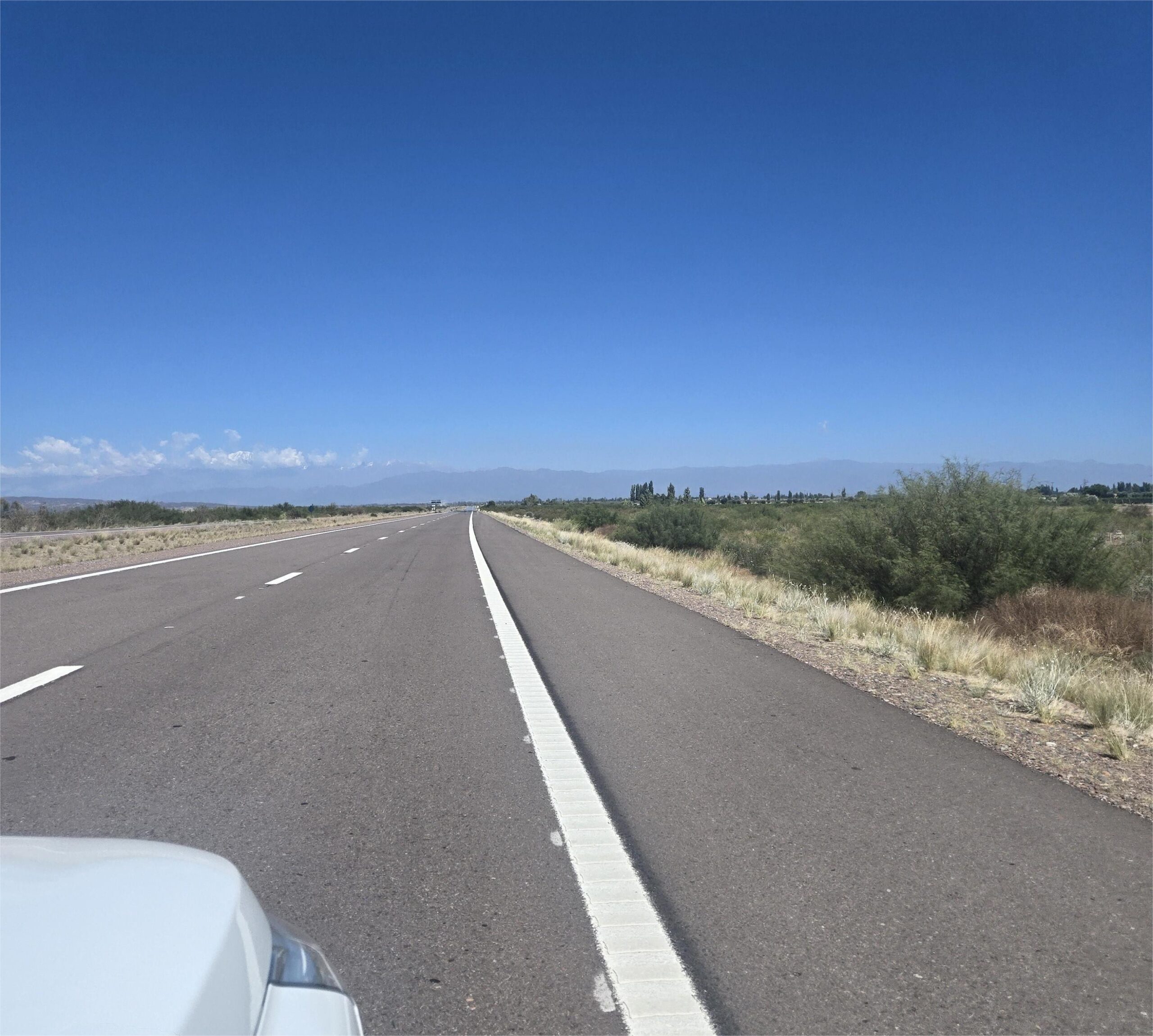 strada argentina vista dal cofano di un auto durante un viaggio on the road